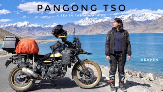 HEAVEN IN THE MIDDLE OF NOWHERE | PANGONG TSO VIA CHANG LA | SOLO LADAKH RIDE Ep 5