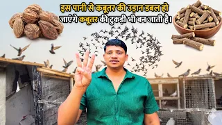 KABOOTAR KI TUKDI KAISE BANAY ?? HOW TO FLY PIGEON'S
