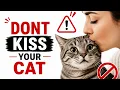 Your Cat Doesn t Understand Kisses Here s What They REALLY Feel
