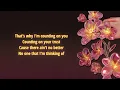 8RO8 - Counting On You (with Franskiiz and Lelz) [Lyric Video]