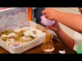 Tundra Biome Facts and Diorama