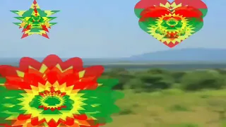 Sirba Faxe Kan Akkan Nama Hawaatu Kana Itiin Boharaa 