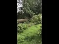 Brookfield residents clearing debris from Sunday storms