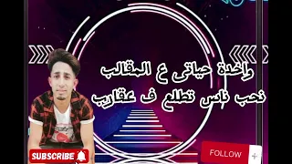 مهرجان قطر الصحاب ملهوش محطة غناء حمو الشاعر وغناء وكلمات الديشا حامد توزيع عمرو ايتـــو 