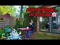 Download Lagu A Day in My Life in Holland After the Wedding | Love, Food \u0026 Memories