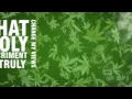 Jesse Royal - Finally (Official Lyric Video 2015)