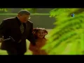 Ehab Tawfik - El Ayam El Helwa / إيهاب توفيق - الأيام الحلوة