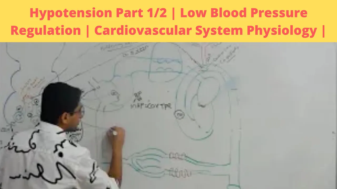 Hypotension Part 1/2 | Low Blood Pressure Regulation | Cardiovascular System Physiology |