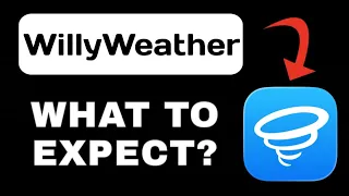 WillyWeather App Explained - What to Expect