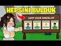 Lagu KAYIP ÇOCUKLARIN HEPSİNİ BULDUK😊AYŞEM ECE ARI💥ROBLOX 99 NIGHTS IN FOREST