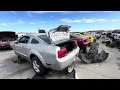 Dozens of Ford Mustangs at Junkyards in Las Vegas