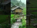 Download Lagu Hujan Turun (1) #hujan #relaxing #rain  #hujanturun