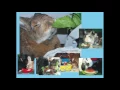 Bunspace Calendar 2017