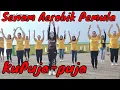 Download Lagu Senam aerobik pemula mengecilkan lengan hanya 15 menit membakar lemak tubuh - fesya sahara aerobic