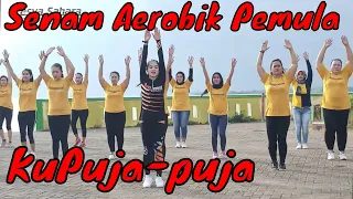 Download Beginner aerobic exercise takes only 15 minutes to slowly burn body fat - fesya sahara MP3