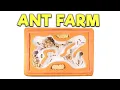 How to Build an Ant Nest Modular Concrete Formicarium
