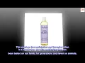 SheaMoisture Bath Body Massage Lotion Oil Moisturizer for Sensitive Skin Lavender Wild Orchid
