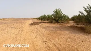 Riding Through the Oumjrane Desert Oasis | Moroccan Motorbike Adventure
