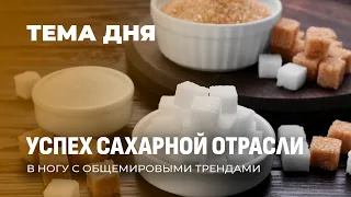 Белое золото: как Беларусь зарабатывает на сахаре. ТЕМА ДНЯ