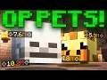The ULTIMATE DUNGEON PET COMPARISON GUIDE Hypixel Skyblock