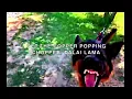 $uicideBoy$ – All Dogs Go To Heaven ( Lyric Video)