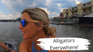 We nearly went for a swim with Alligators whilst Sailing in the ICW – Ep. 142