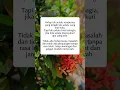 Download Lagu Hidup tak selalu sempurna #shortvideo #motivasi #motivasihidup #katakatabijak #trending