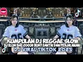 KUMPULAN DJ REGGAE SLOW TERBARU || DJ CAMPURAN VIRAL TIKTOK 2025π΅