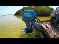 Exploring Hernando Beach Waters