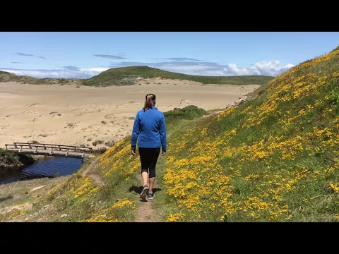 Abbotts Lagoon in Point Reyes National Seashore - YouTube thumbnail