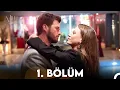 Download Lagu Aile 1. Bölüm