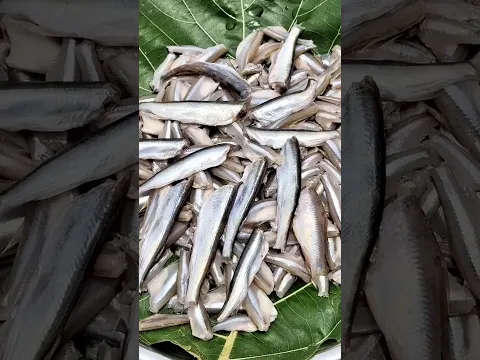 🐟 బేడి చేపల పులుసు… రుచి అదిరిపోద్ది! 🔥