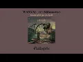 WANYAI แว่นใหญ่ - เงา (Silhouette) (Lyrics)