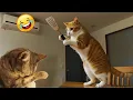 Download Lagu Momentos Superdivertidos con Animales 🤣 #9 | Videos de Mascotas Divertidísimos y Tiernos