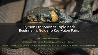 Python Dictionaries Explained Beginner s Guide to Key-Value Pairs 030125A