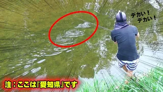 『愛知県』にこんな場所があったの!?どこを見てもバス!バス!バス!