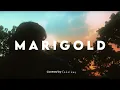 Download Lagu 【 Si Anas / Cakalanq】Marigold - Aimyon (Acoustic  Cover)