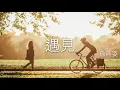 孫燕姿 Sun Yan-Zi - 遇見Encounter
