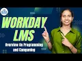 Overview On Programming and Campaign in Workday LMS Workday LMS Tutorial CyberBrainer