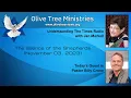The Silence of the Shepherds - Pastor Billy Crone