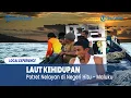 Download Lagu Laut Kehidupan, Potret Nelayan di Negeri Hitu