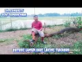 Download Lagu Ban serep ( emek aryanto )_Cover. Uchul dhot ( papae azis )