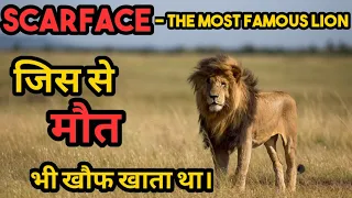 Download दुनिया के सबसे खतरनाक शेर Scarface की एक दर्दनाक अंत की कहानी। Scarface Lion Documentary in Hindi। MP3