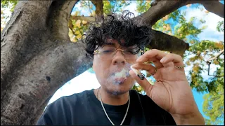 Hawaii: The BEST Place to Get Really High