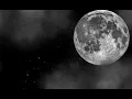 Dark Night with Twinkling Stars and Clouds - Using Pure Css