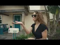 Through The Roots - Delivery with Walshy Fire - feat. DanRue (Official Music Video)