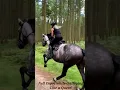 Download Lagu Girl Galloping Horse Too Hard