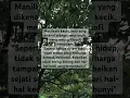 Download Lagu Sawo Kecik: Kecil Wujudnya, Besar Maknanya 🍃