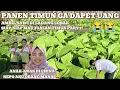 Download Lagu GA DAPAT UANG!!! PANEN TIMUN HANYA DAPAT 50KG DAN KURANG BAGUS DI CHINA 🥀