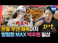 Download Lagu [전참시] 아침부터 8km 뛰고 사우나 가는 무쇠 소녀🦾 박주현의 테토력 넘치는 아침 일상ㅣ#박주현 MBC250719방송